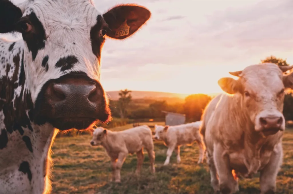 Landwirtschaft und Steuerberatung